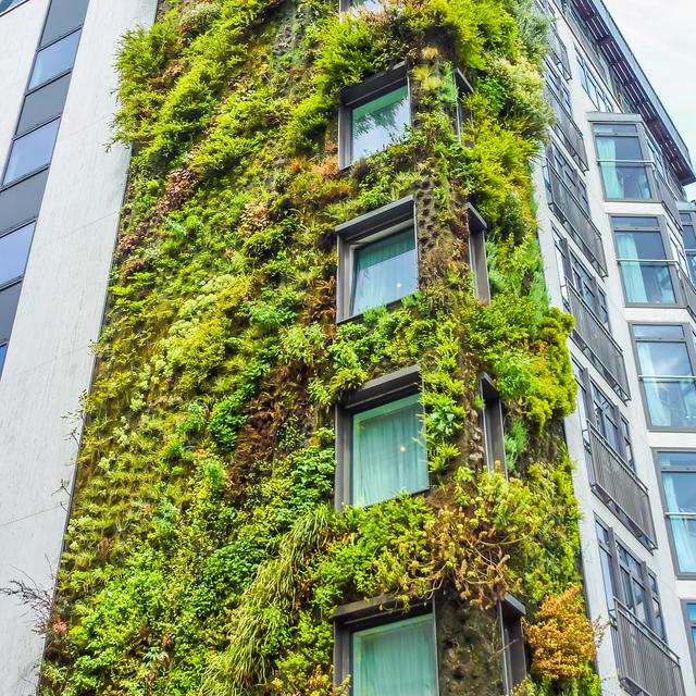 Dans un contexte de plus en plus urbanisé, on commence à repenser le rapport à la nature au sein des cités. [Depositphotos - gianliguori]