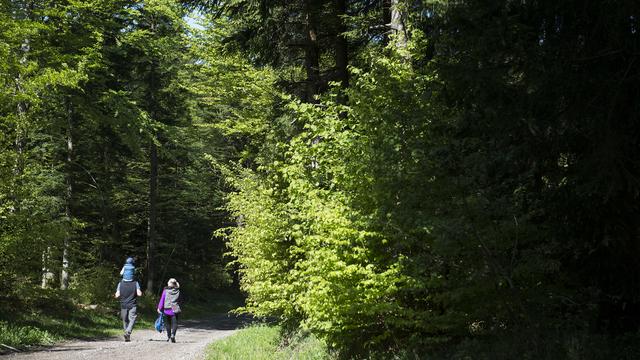 Le parc naturel du Jorat prend forme. [Keystone - Jean-Christophe Bott]