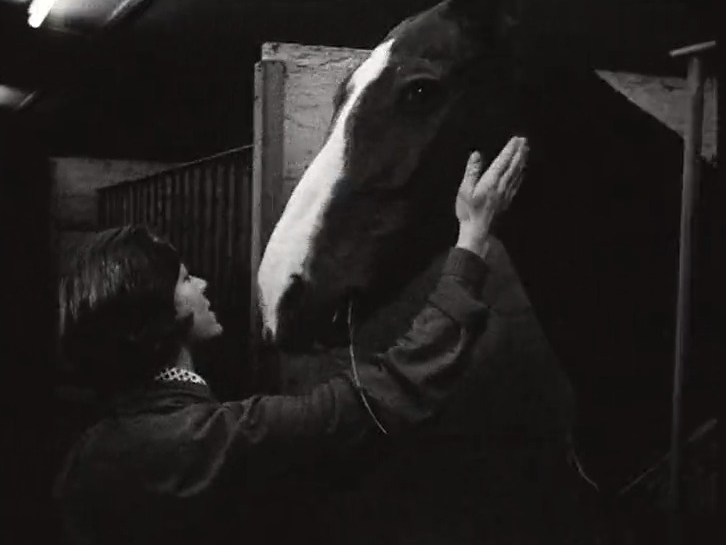 La cavalière Monika Bachmann en 1967.