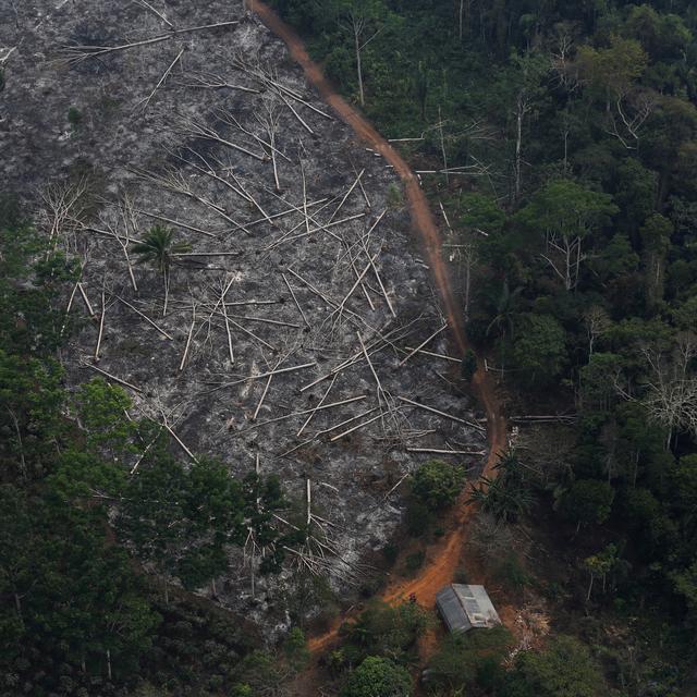 Une vue aérienne de la destruction de la forêt amazonienne qui a bondi de 67% sur un an au cours des sept premiers mois de l'année. [REUTERS - Nacho Doce]