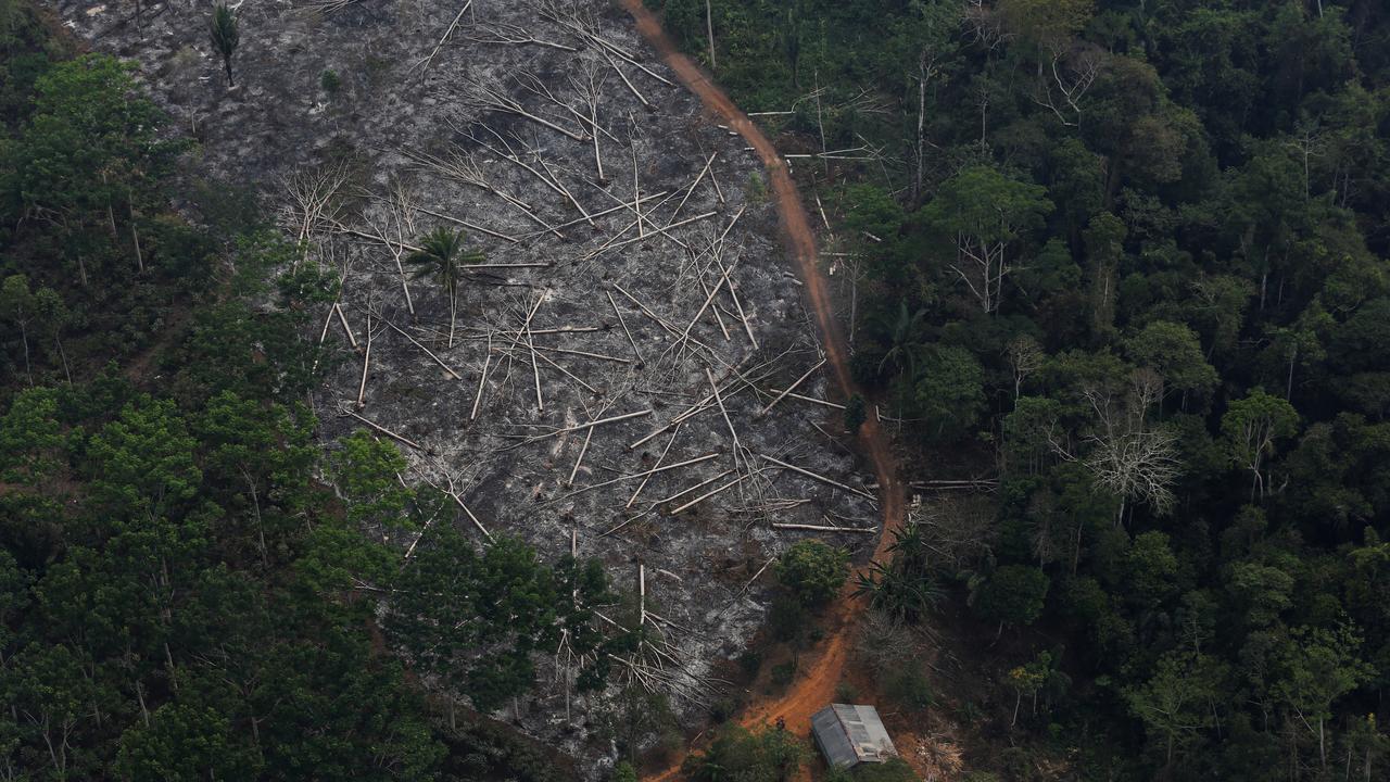Une vue aérienne de la destruction de la forêt amazonienne qui a bondi de 67% sur un an au cours des sept premiers mois de l'année. [REUTERS - Nacho Doce]