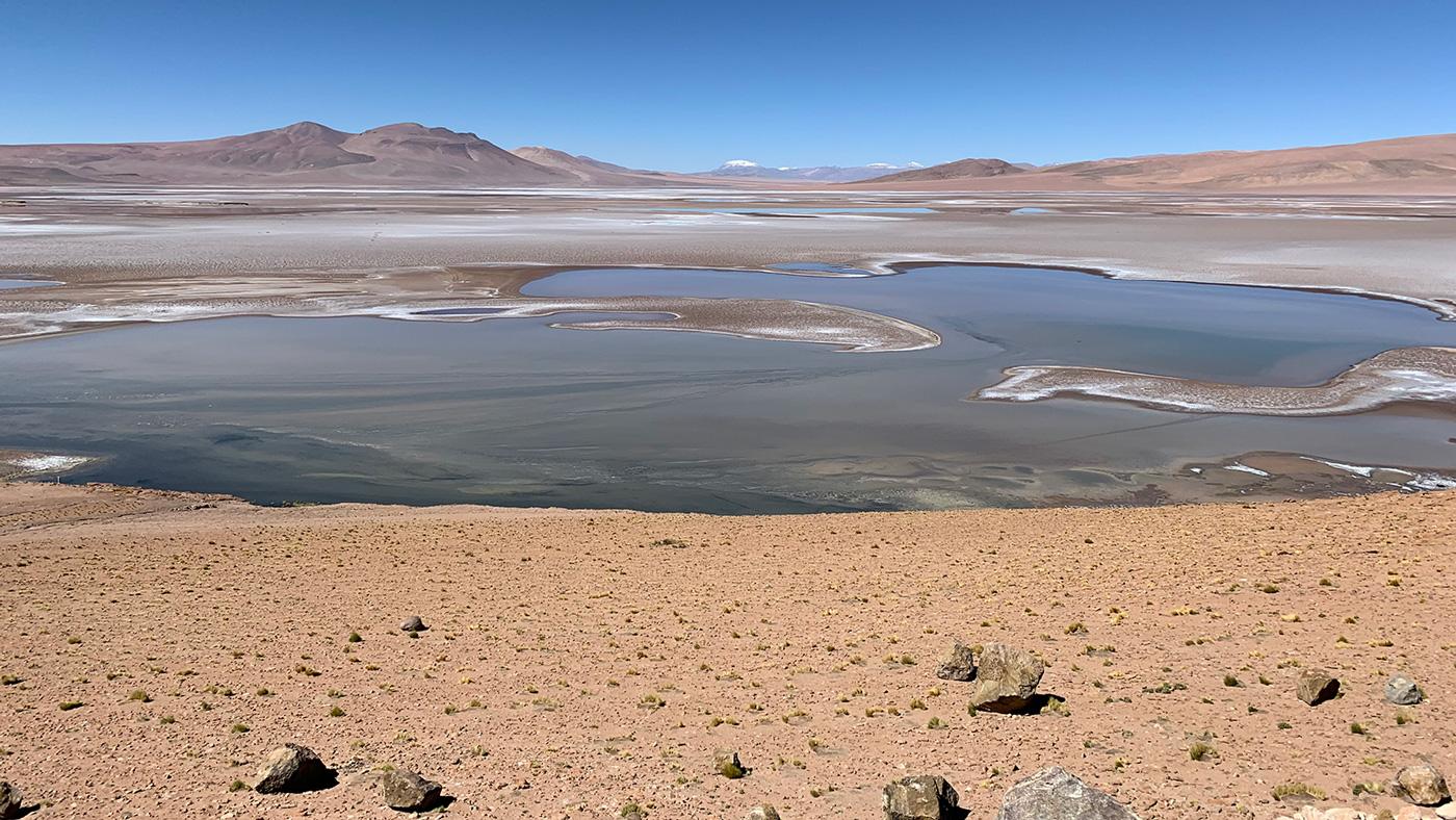 Les scientifiques pensent que le paysage du Salar de Quisquiro et ses lacs saumâtres doit être similaire à ce à quoi le Cratère de Gale devait ressembler sur Mars. [NASA - Maksym Bocharov]