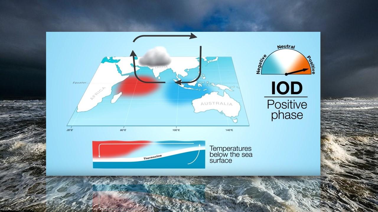 Circulation des courants et régime des pluies dans la phase positive du dipôle de l'océan indien [Australian Met Office]