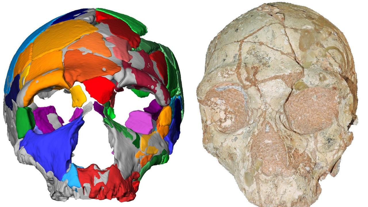 Le crâne d'Apidima 2 (droite) et sa reconstitution. [Keystone/DPA - KATERINA HARVATI]