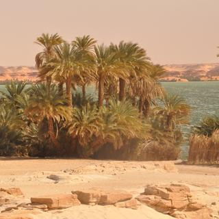 Oasis de Ounianga Kebir au Nord du Tchad.
Img dans CP de l'Unine
Marie-Louise Vogt
Unine [Unine - Marie-Louise Vogt]