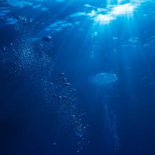 Les océans souffrent d'une perte en oxygène.
vitaliy_sokol
Depositphotos [vitaliy_sokol]