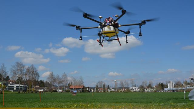Les drones pulvérisateurs pourraient se répandre rapidement en Suisse. [Agroscope - Thomas Anken]