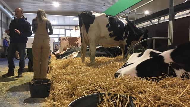 Swiss Expo réunit 100 vaches au Palais de Beaulieu pendant quatre jours. [RTS - Pierre-Etienne Joye]