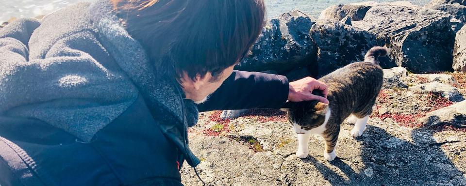 Gil Roman caresse un chat au bord du lac. [RTS - Karine Vasarino]