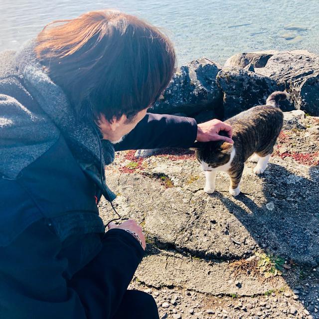 Gil Roman caresse un chat au bord du lac. [RTS - Karine Vasarino]