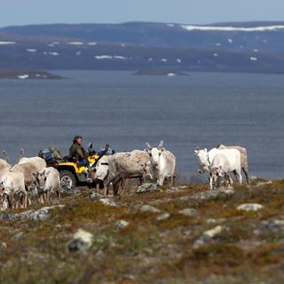Le projet minier inquiète la communauté sami, en Laponie. [Reuters - Stoyan Nenov]
