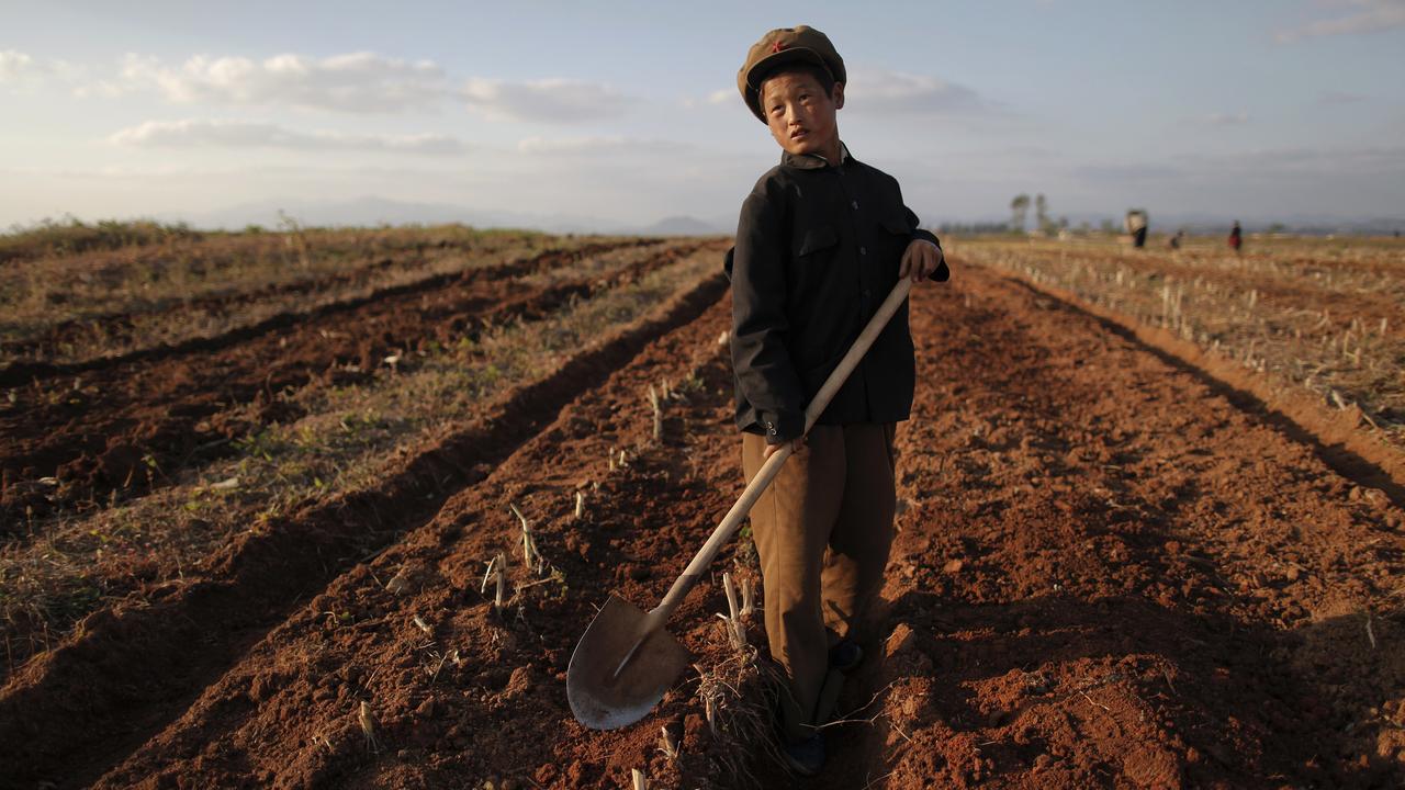 Un garçon travaille dans le champ d'un ferme collective en Corée du Nord. Photo prise en septembre 2011 durant une visite contrôlée par le gouvernement nord-coréen. [Reuters - Damir Sagolj]