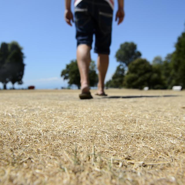 En 2019, la sécheresse due à la canicule a complètement brûlé l'herbe des parcs et des ga sécheresse due à la canicule a complètement brûlé l'herbe des parcs et des gazons. [Keystone - Jean-Christophe Bott]