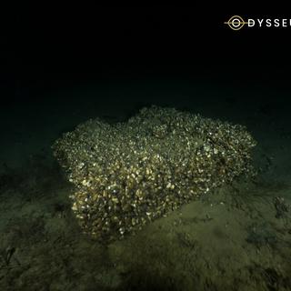 Des caisses de munition retrouvées dans le Lac Léman. [Keystone/Odysseus 3.1]