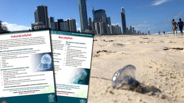 Une méduse sur la plage de Surfer's Paradise dans le Queensland, en Australie. [Keystone - Queensland Ambulance Service]