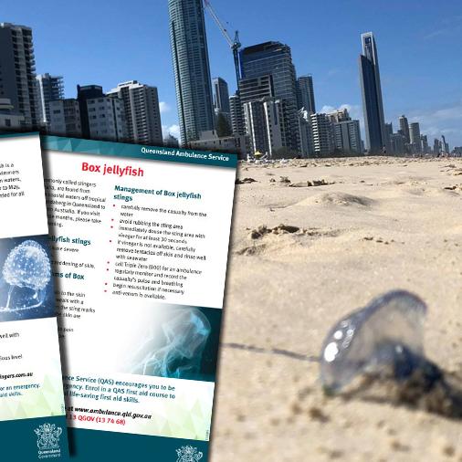 Une méduse sur la plage de Surfer's Paradise dans le Queensland, en Australie. [Keystone - Queensland Ambulance Service]