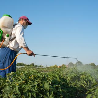 Initiatives pesticides, un poison pour l’agriculture? [Fotolia - Dusan Kostic]