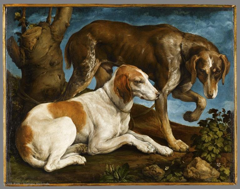 "Deux chiens de chasse liés à une souche" (1548), de Bassano, premier portrait animalier de la peinture ocidentale. [Musée du Louvre - 2009 RMN /Stéphane Maréchalle]