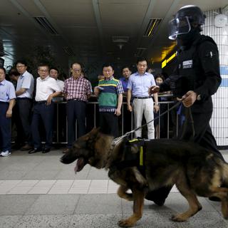 La police coréenne a des chiens clonés. [Reuters - Kim Hong-Ji]