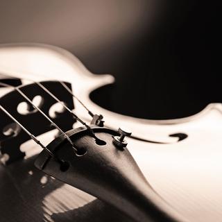 Violon (image prétexte). [Depositphotos - stokkete]