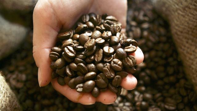 Le prix des grains de café a chuté de 20% en dix mois. [keystone - Fabian Bimmer]