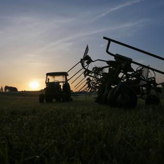 Le secteur agricole pourrait être particulièrement touché, selon le rapport de l'OIT. [AFP - Karl-Josef Hildenbrand]