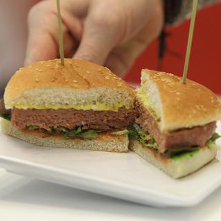 Un burger vegan présenté lors d'un concours à Francfort en 2019 (photo d'illustration) [AFP - Daniel Roland]