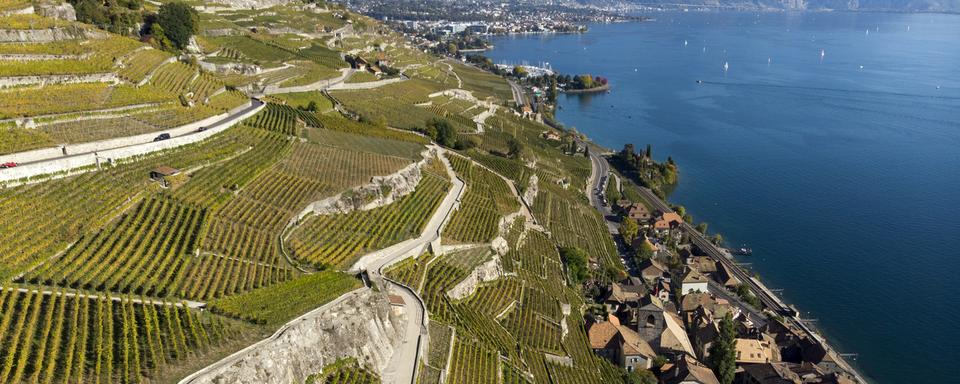 Une vue aérienne du vignoble de Lavaux. [Keystone - Laurent Gilliéron]