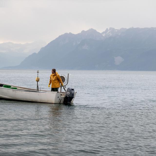 ABE: nos poissons n'ont pas la pêche. [RTS - Anne-Laure Lechat]