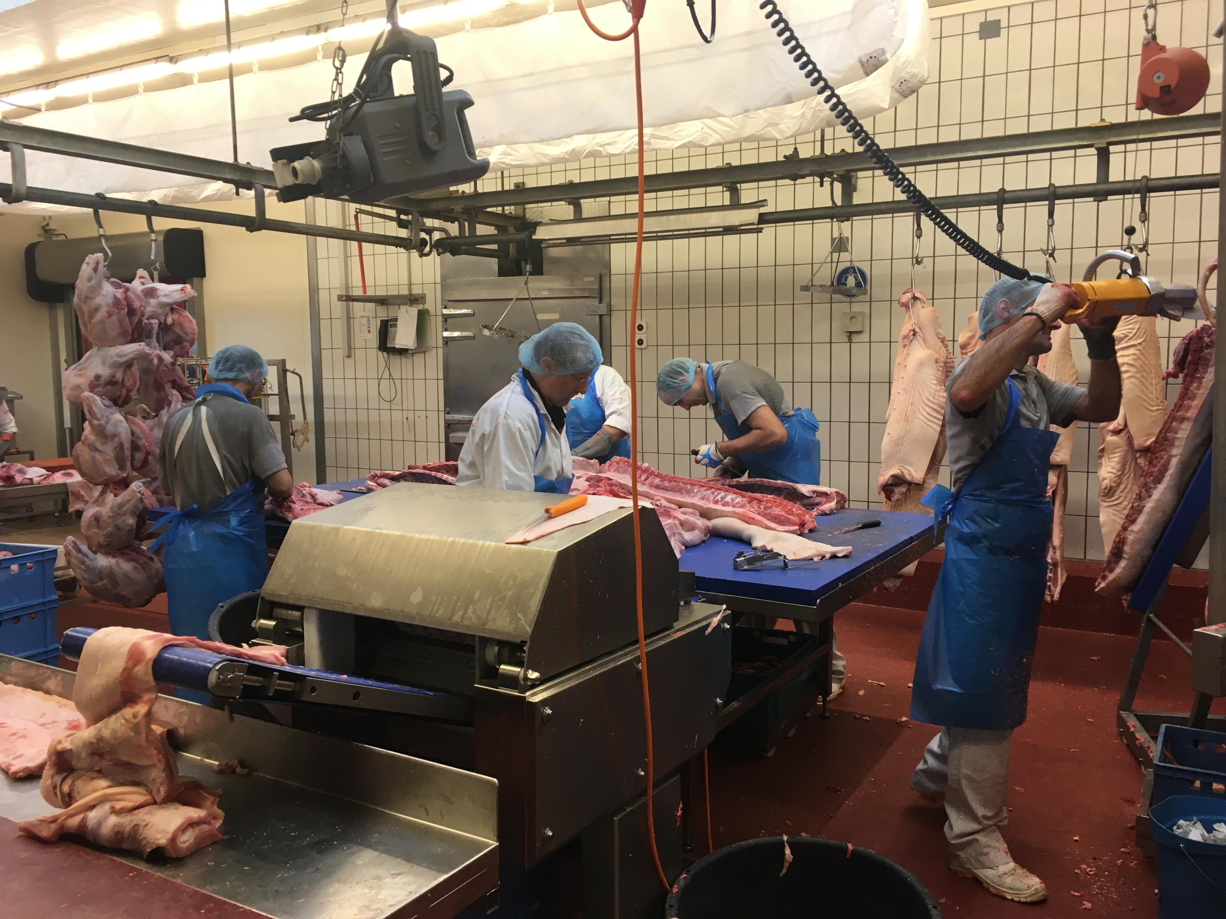 Dépeçage des cochons à leur arrivée dans le laboratoire de la boucherie Montandon