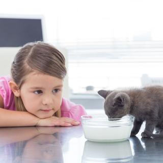 Une petite fille regarde son chat boire du lait. [Depositphotos - Wavebreakmedia]