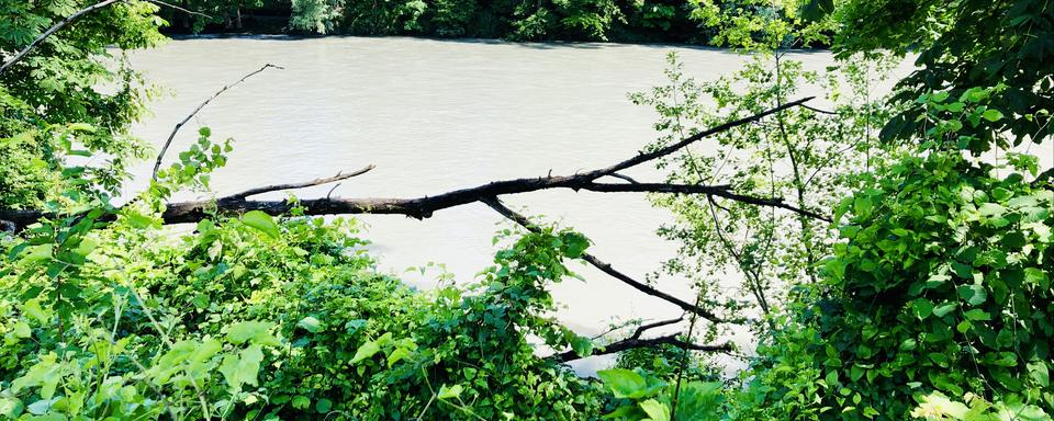 La rivière de l'Arve en crue. [RTS - Karine Vasarino]