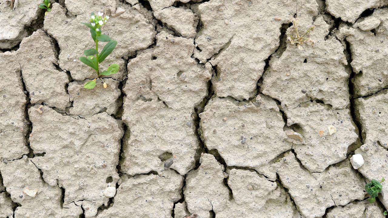 Les épisodes de sécheresse inquiètent toujours plus les agriculteurs. [Keystone - Helmut Fohringer]