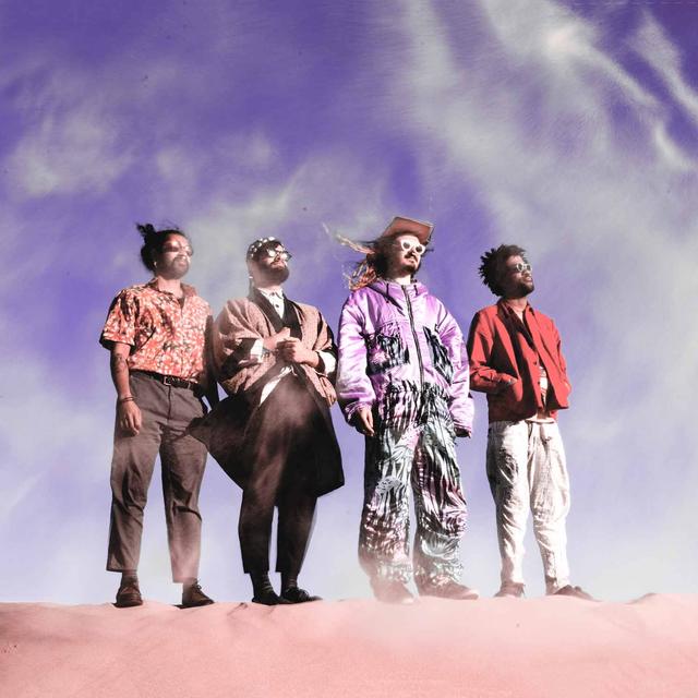 Les Flamingods. [DR]