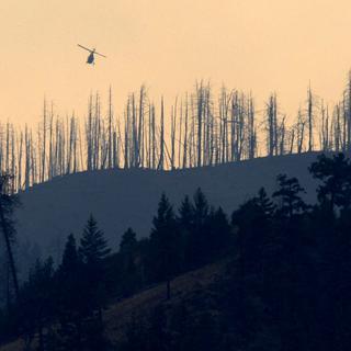 Une forêt brûlée sur le mont McLean au Canada. [Keystone - The Canadian Press, Darryl Dyck/ AP Photo]