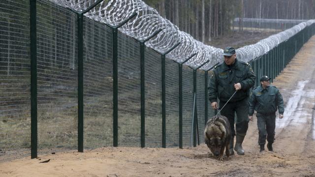 Grillage installé à la frontière entre la Lettonie et la Russie, près de Goliseva. [Reuters - Ints Kalnins]