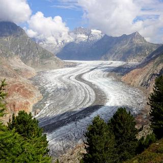 La langue du grand glacier d'Aletsch perd rapidement de son épaisseur.
M. Huss
Académie des sciences naturelles [Académie des sciences naturelles - M. Huss]