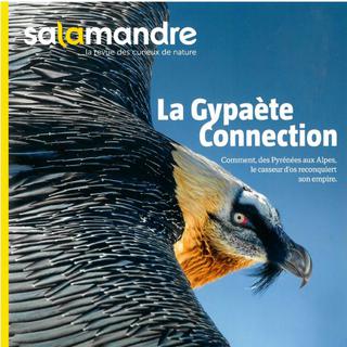 La couverture de La Salamandre n° 249 des mois de décembre 2018-janvier 2019. [Salamandre.net]