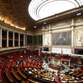 En France, l'Assemblée nationale vote une PMA pour toutes les femmes. [AFP - Philippe Lopez]