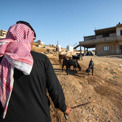 En Jordanie, les bédouins sédentarisés depuis 40 ans ont pour la grande majorité abandonné la tradition de lʹélevage et de lʹagriculture. [RTS - Samuel Turpin]