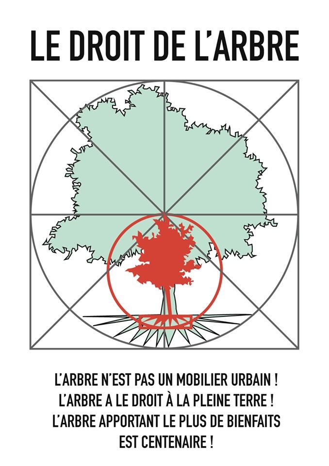 Le "droit de l'arbre": une image publiée sur la page Facebook de SOS Patrimoine – Contre l'enlaidissement de Genève.