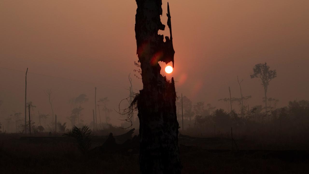 La forêt amazonienne n'avait jamais autant diminué depuis 2008. [EPA/Keystone - Joedson Alves]