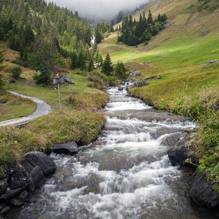Les échanges gazeux des ruisseaux de montagne avec l'atmosphère sont cent fois plus importants que ceux des rivières de plaine.
cristiandxb
Depositphotos [Depositphotos - cristiandxb]