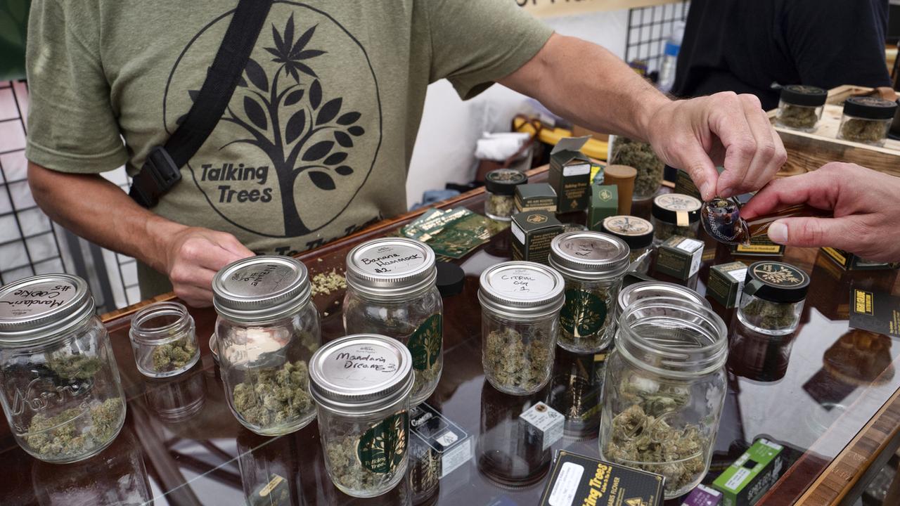 De la marijuana vendue légalement dans une "ferme" à cannabis, en Californie, en juin 2019. [AP Photo - Richard Vogel]