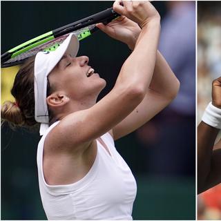 Simona Halep et Serena Williams se disputeront le titre samedi. [Nic Bothma/Adam Davy]