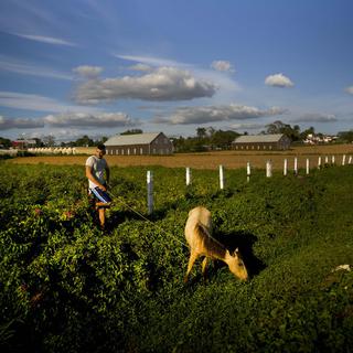 Plaine agricole dans la province de Pinar del Rio, à Cuba. [AP/Keystone - Ramon Espinosa]