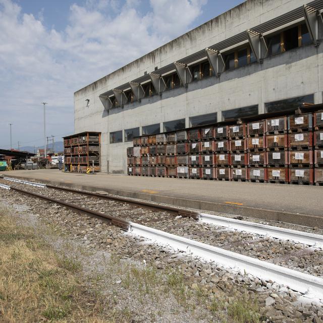 Les CFF testaient les rails blanc pour lutter contre les déformations causées par la chaleur. [Keystone - Peter Klaunzer]