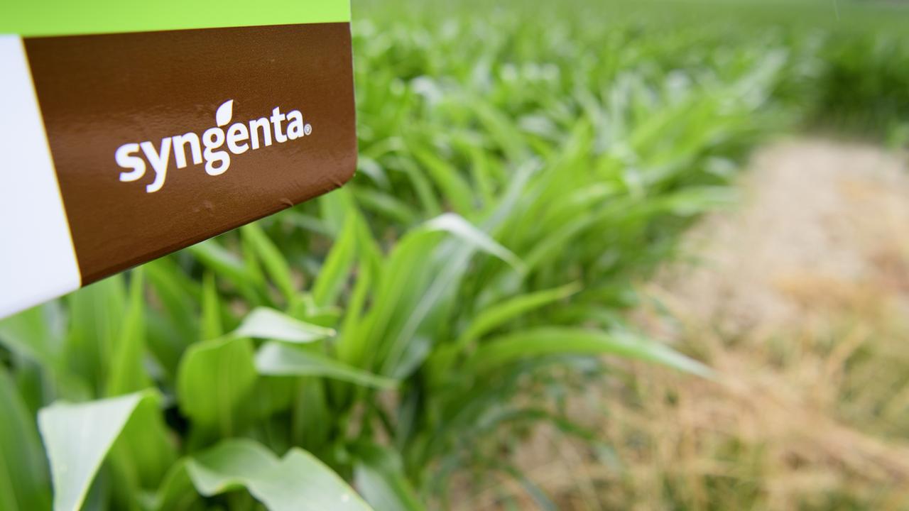 Syngenta a été rachetée par ChemChina en 2017 pour plus de 40 milliards de francs. [Keystone - Laurent Gilliéron]