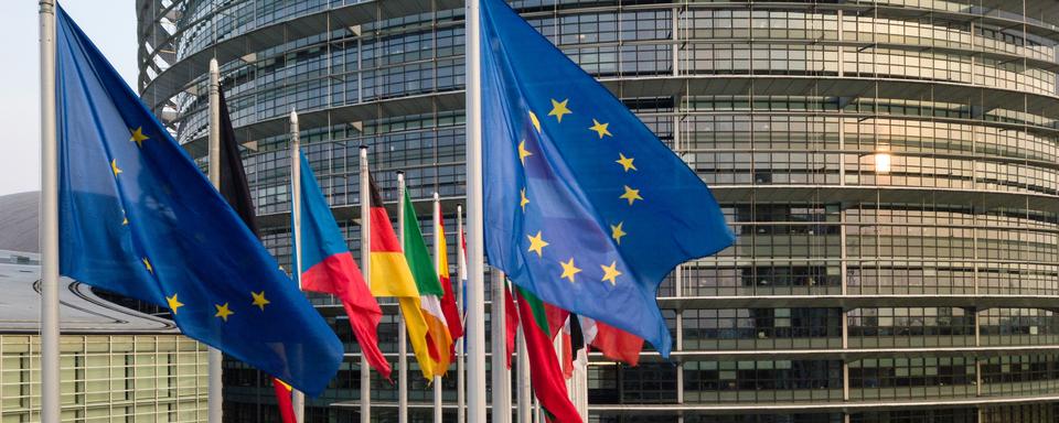 Des drapeaux européens devant le Parlement européen à Strasbourg. [afp - Patrick Hertzog]