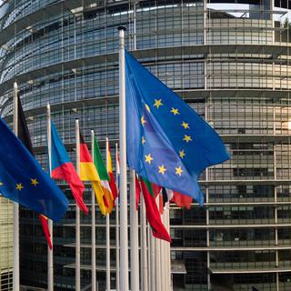 Des drapeaux européens devant le Parlement européen à Strasbourg. [afp - Patrick Hertzog]